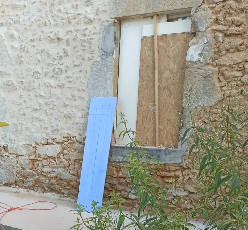 Grand arbre dans un paysage, esprit nature