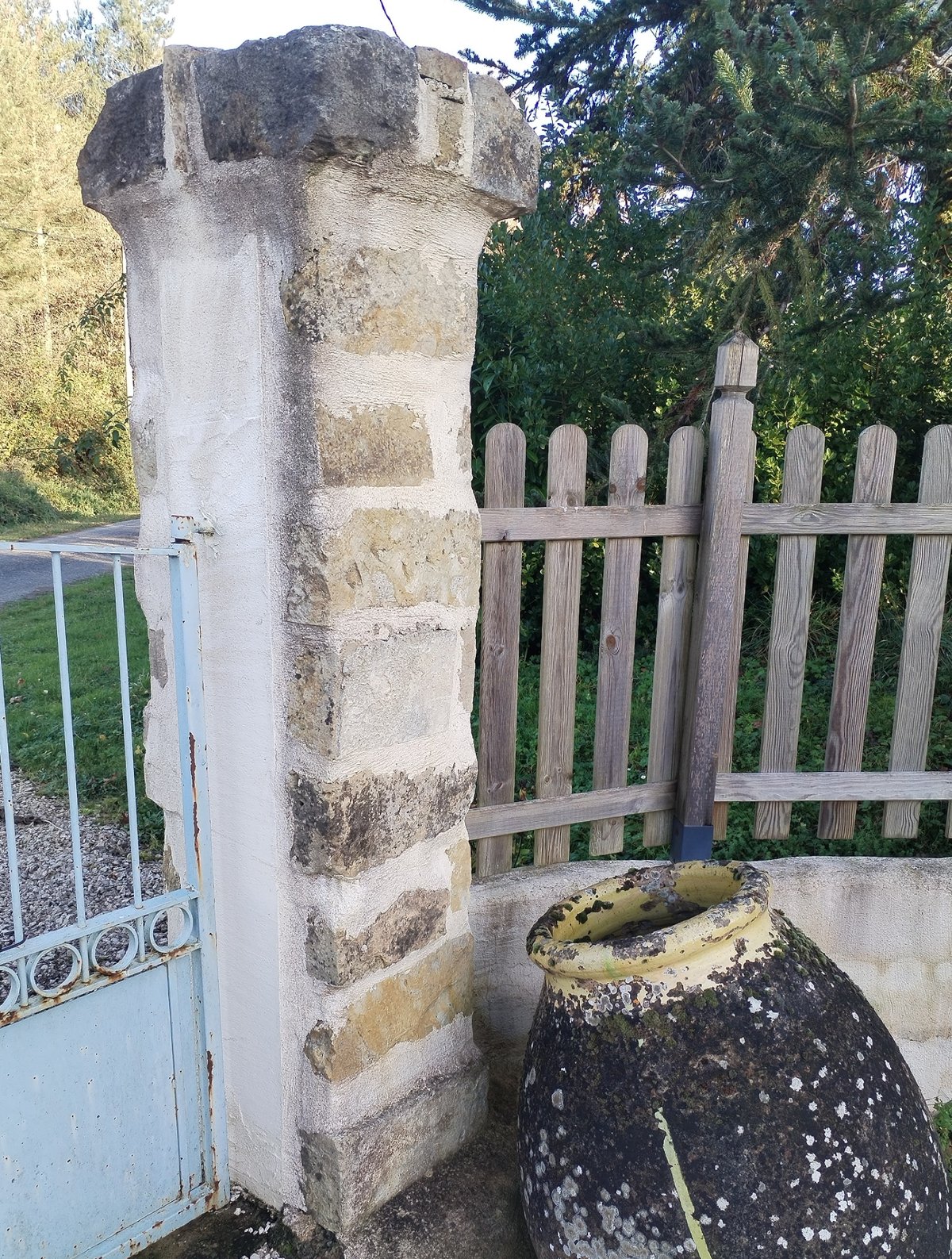 Rondins coupés, coupe nette